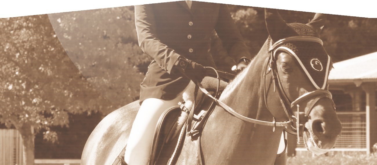 horse riding image
