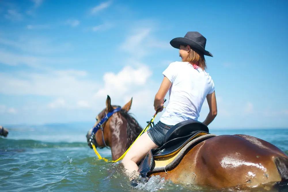 sea - 乗馬クラブハーモニーワールド